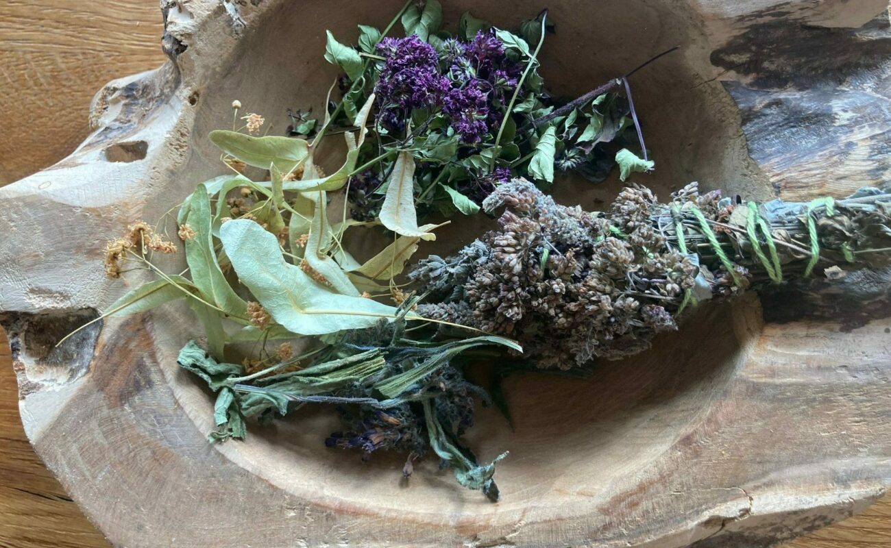 Kräuter Kräuterwanderung, Gesäuse, Forrest Yoga Gesäuse, ennspired