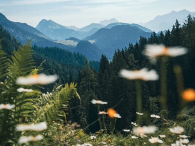 Yoga und Wandern, Totes Gebirge, Mag. Lisa-Maria Guhl, MA, ennspired, Forrest Yoga, copyright Marienicole Schmied (9) Yoga und Wandern, Totes Gebirge, Mag. Lisa-Maria Guhl, MA, ennspired, Forrest Yoga, copyright Marienicole Schmied (9)